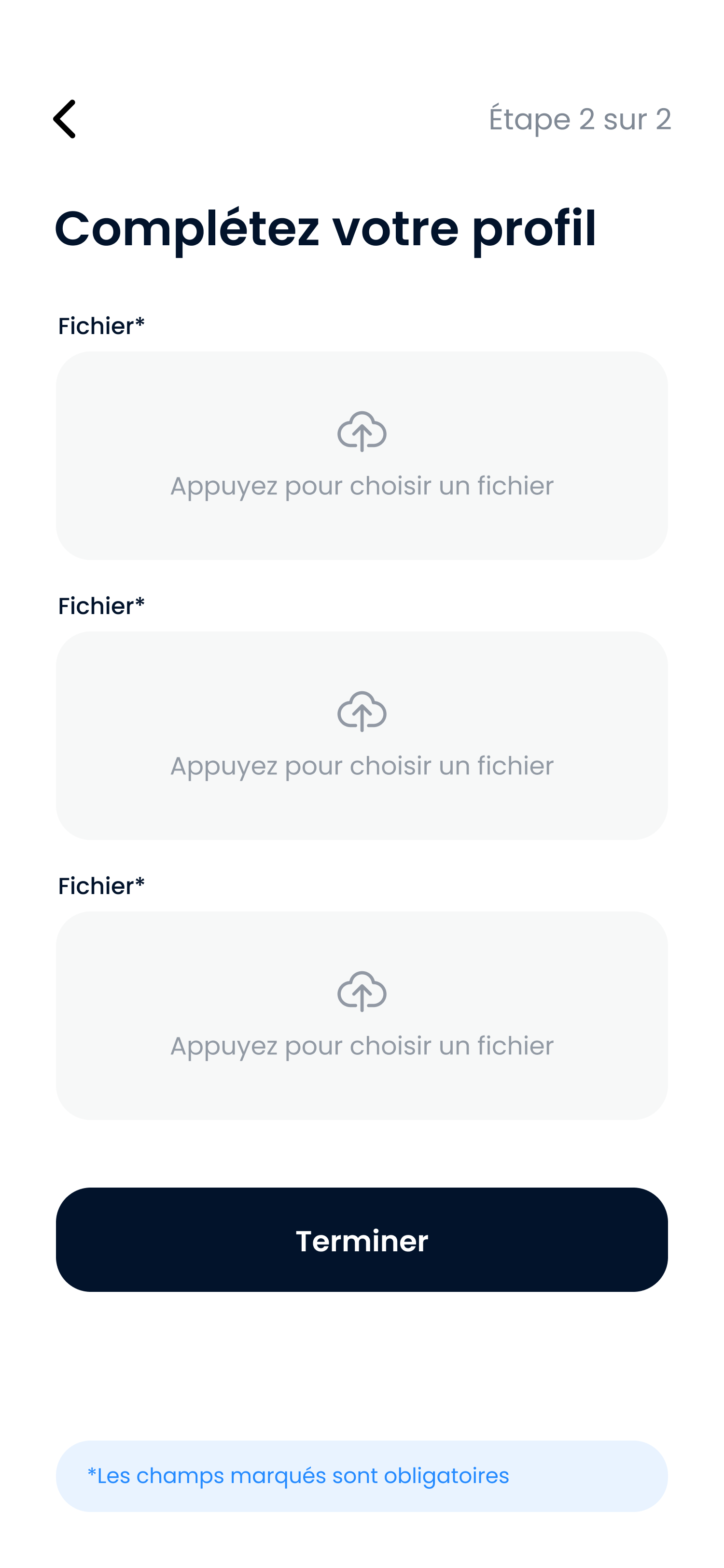 Mockup of the Professional profile package